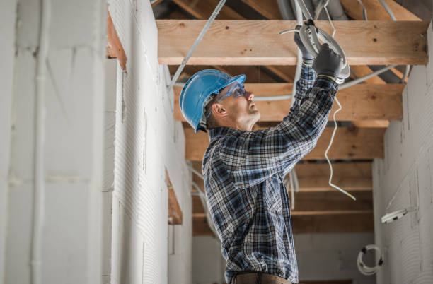 Best Electric Panel Repair  in San Diego, TX